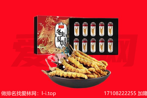 伊犁州额敏县回收虫草.jpg